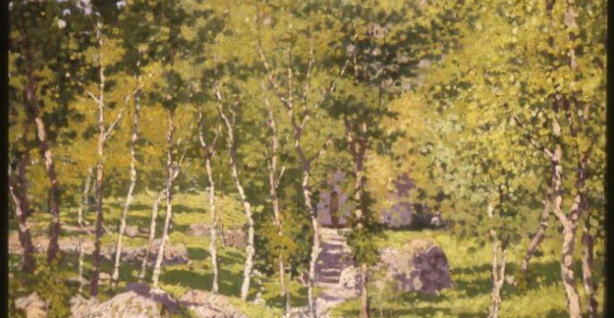 Gaiezze Montanine di Enrico Reycend-particolare Gaiezze Montanine di Enrico Reycend-particolare