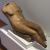 Marino Marini, Frammento, 1930 ca., terracotta