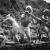 Pescatrici di perle (ama san),1948 457×560 - Ken Domon Museum of Photography