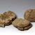 Resti organici di focacce di pane da Ercolano (Ercolano, inv. 77618/2322)