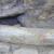 Fig 10: reperti in situ restaurati