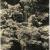 Yamamoto #1526, 210x142 cm