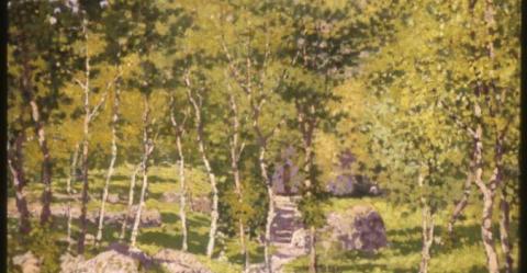 Gaiezze Montanine di Enrico Reycend-particolare